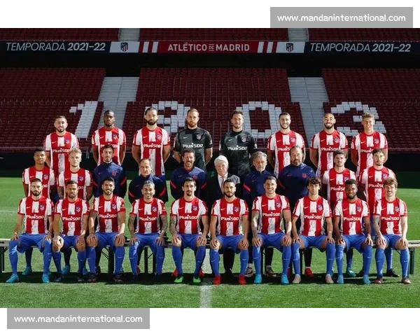 双人及以上球员同场竞技的策略分析与战术探讨