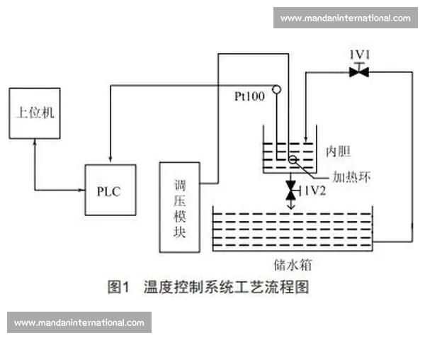 基于资源控制的战略布局与优化路径探析